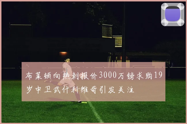 布莱顿向热刺报价3000万镑求购19岁中卫武什科维奇引发关注