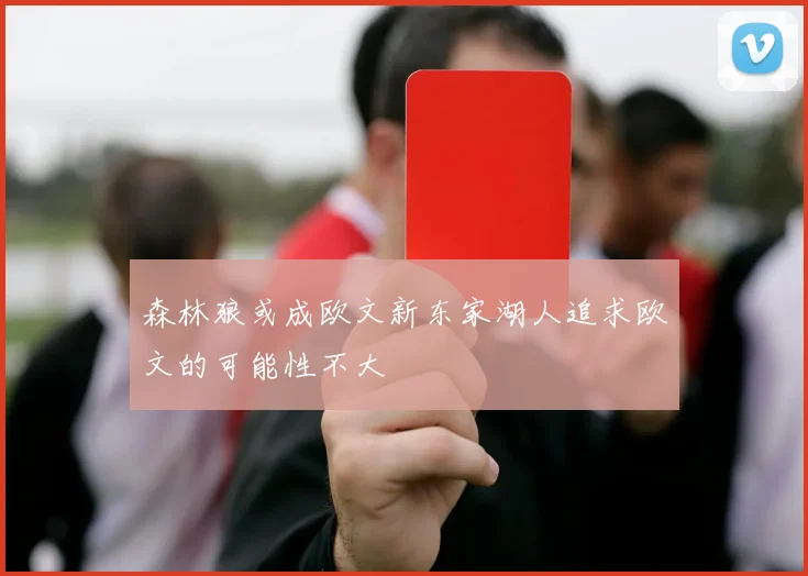森林狼或成欧文新东家湖人追求欧文的可能性不大