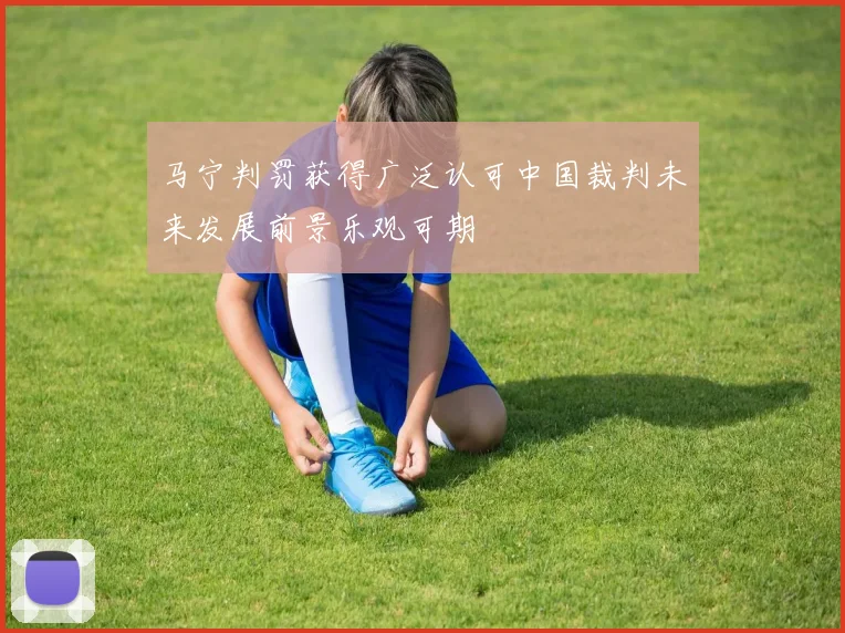 马宁判罚获得广泛认可中国裁判未来发展前景乐观可期