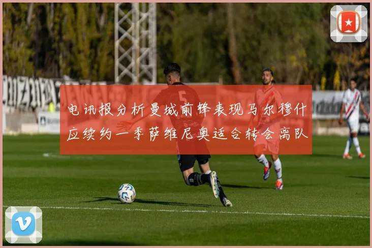 电讯报分析曼城前锋表现马尔穆什应续约一季萨维尼奥适合转会离队